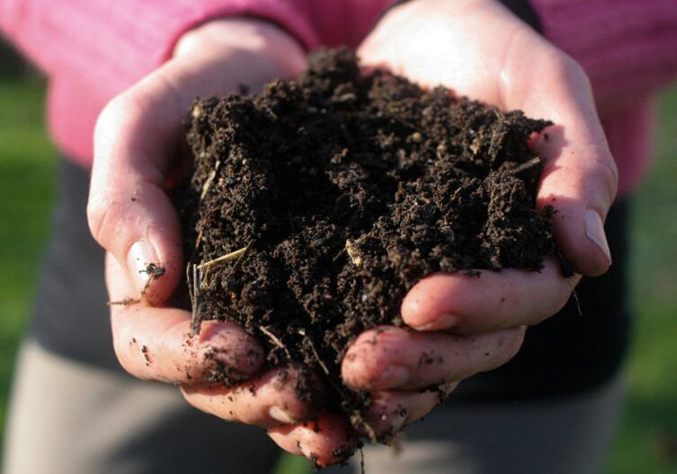 apstrāde ar augsni kā parazītu invāzijas cēlonis