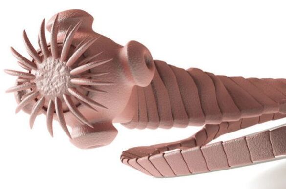 parazīts no cilvēka ķermeņa